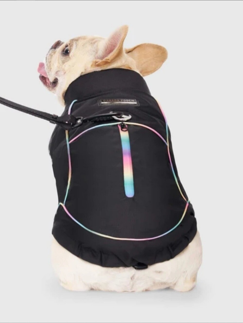🐾 Canada Pooch Thermal Utility Parka sz 12